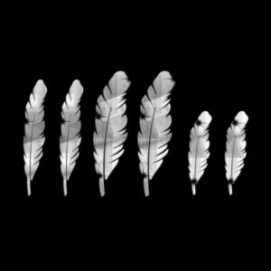 Flot spejl med 6 stk fjer i forskellige størrelser. Selvklæbende akryl spejl klistermærker. -