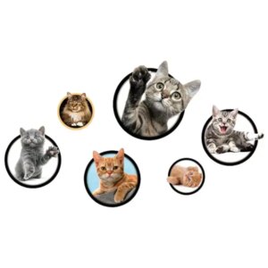 Katte wallsticker. 6 søde kattekillinger. -