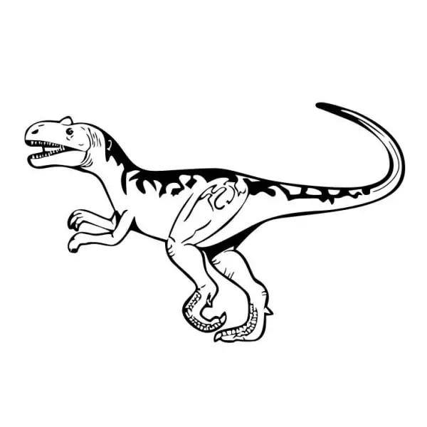 velociraptor-dinosaurus Dinosaurus wallsticker. Velociraptor. 39x57cm. -