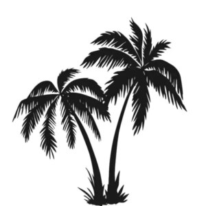 Wallsticker med flotte palmer. 58x62cm. -