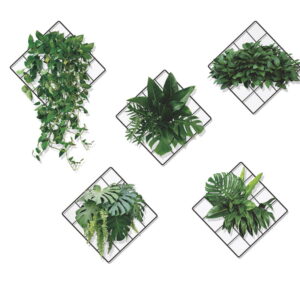Plante wallsticker. Hyggelig og flot dekoration med 5 stk stedsegrønne planter. -